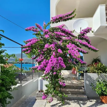 Lilac- 100m From Apartman Trogir