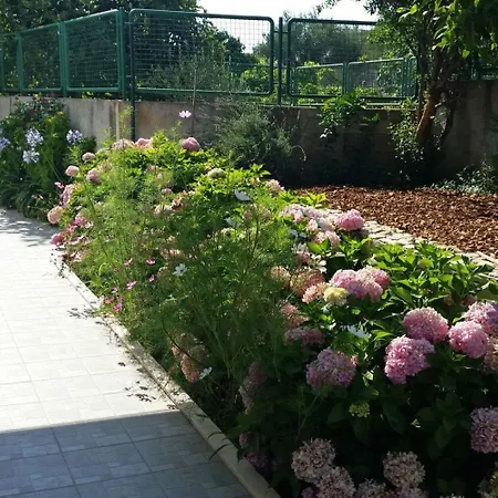 Lilac- 100m From * Trogir