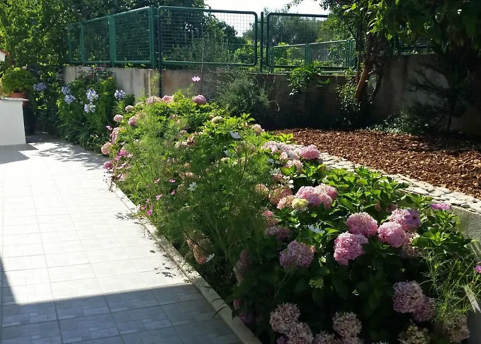 Lilac * Trogir